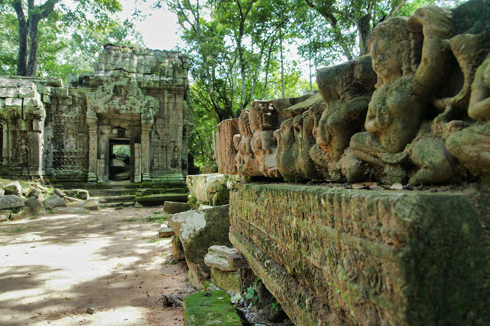 Ta Prohm ("königliches Kloster") ist ein zwischen dem späten 12. und frühen 13. Jahrhundert erbauter Tempel. Der Ta Prohm wurde während der Herrschaft des letzten großen Königs des Khmer-Reiches  erbaut, einem Anhänger des Mahayana-Buddhismus.